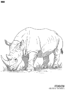 Stunning high-quality rhino coloring page