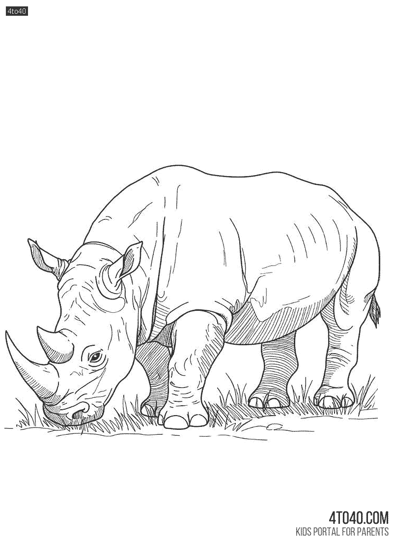 Stunning high-quality rhino coloring page