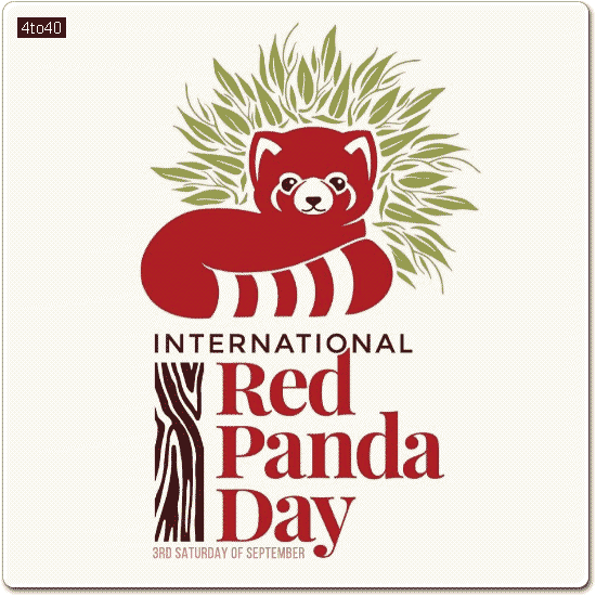 International Red Panda day Greeting Card