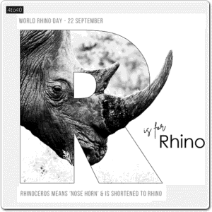 World Rhino Day is observed every year on September 22 to raise global awareness about the conservation of rhinoceroses