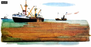 The Ivory Coast exports rare woods to many countries of the world