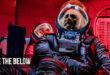 Above the Below: 2026 British Survival Thriller Film Trailer & Review